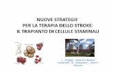 NUOVE STRATEGIE PER LA TERAPIA DELLO STROKE ......terapeuticodellecellule staminali • La direttiva europea considera l’uso delle cellule staminali assimilabile a quello di un trattamento