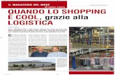 Di Martino S.p.A. - DR Logistics - Piacenza Qn shoUa Do Lo PPing … · 2019. 9. 12. · negozio rivoluzionario: secondo il ... “Le performance di DR Logistics sono controllate