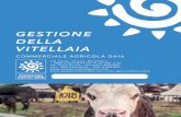 GESTIONE DELLA VITELLAIA · 2019. 12. 18. · vitelli. GESTIONE DELLA VITELLAIA. AL 131 Detergente cloroattivo ottimo per il lavaggio della lupa allattatrice. Formato disponibile