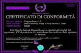 CERTIFICATO DI CONFORMITÀ - Chogan GroupSOL18 via Giacomo Boggiano, 1/A 76121 Barletta (BT) . Title: CERTIFICATO N° IT00200293 SOL18 Created Date: 4/26/2018 9:05:09 AM ...