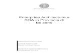 Enterprise Architecture e SOA in Provincia di Bolzanotesi.cab.unipd.it/46108/1/Enterprise_Architecture_e_SOA_in_Provincia... · l'Enterprise Architecture in Provincia di Bolzano: