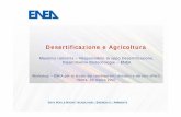 Desertificazione e Agricoltura - ENEAold.enea.it/com/web/convegni/work200307/Iannetta.pdfWorkshop – ENEA per lo studio dei cambiamenti climatici e dei loro effetti, Roma 20 marzo