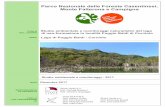 Parco Nazionale delle Foreste Casentinesi, Monte Falterona ... di poggio bal… · RESPONSABILE DI PROGETTO Studio ambientale e monitoraggi naturalistici del lago di neo-formazione