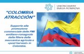 “COLOMBIA ATRACCIÓN” · 2018. 12. 14. · 1) Presentazione della filiera ortofrutticola specializzata (missione istituzionale ed esplorativa in Colombia) - Organizzazione di