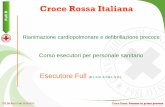 Croce Rossa Italiana - Cri Fossombrone · D CTS_MS Rev.01 del 15/03/2014 Croce Rossa.Persone in prima persona Obiettivi del corso Abilità psicomotorie Conoscenze teoriche Modalità