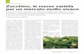 ORTICOLTURA Zucchino, le nuove varietà per un mercato ... · Italia per il pieno campo, in Lazio e Sicilia per il segmen-to protetto, anche gli impianti primaverili del 2014 hanno