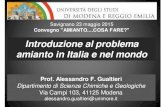Introduzione al problema amianto in Italia e nel mondo - UNIMORE.pdf · Introduzione al problema amianto in Italia e nel mondo Prof. Alessandro F. Gualtieri Dipartimento di Scienze