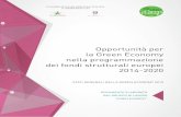 Opportunità per la Green Economy nella programmazione dei ... · efficacia e sull’effetto leva per le imprese green, ad esempio). - Ai rappresentanti delle imprese è stato chiesto