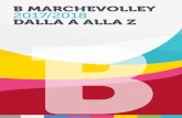 B MARCHEVOLLEY 2017/2018 DALLA A ALLA Z · Come gli opposti Federico Morichelli e il diciannovenne anconitano Andrea Magini, 190 cm di certezze nello scorso campionato di C. Alle