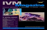 IVMMagazine - Istituto Valtellinese di Mineralogia 2018-01.pdf · 2018. 11. 25. · rali accessori presenti in queste pegmatiti: tra i tanti ricordiamo fosfati come la triplite associata