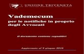 New Vademecum - Ordine degli Avvocati di Treviso · 2018. 3. 19. · 2 Introduzione Con la legge 53/1994 si è attribuita agli Avvocati la facoltà di notificazione degli atti giudiziari,