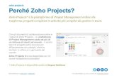 Perché Zoho Projects? - Sooitedi Project Management usata da più di un milione di utenti nel mondo – il vostro team di progetto potrà lavorare più efficacemente con colleghi,