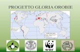 PROGETTO GLORIA OROBIE - Parco delle Orobie Bergamasche€¦ · Nel progetto GLORIA-Europa, probabilmente, solo nella Target Region degli Urali settentrionali non vi è in assoluto