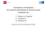 Complesso immobiliare “Ex Fattoria della Badia di Santa …...2016/07/05  · 2. “Giardino I” Comune di San Miniato (Pisa) DESCRIZIONE GENERALE DELLE OPPORTUNITA’ DI INVESTIMENTO