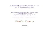 OpenOffice.org 2.0 e i Database - Soft.Com Sas · La prima scelta riguarda il tipo di configurazione (standard o dettagliata): si può selezionare dettagliata, anche per farsi un'idea