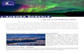 PROGRAMMA AURORA BOREALE - Re Teodorico Viaggi...Tromso e l’Aurora Boreale - Pagina 4/5 HUSKY SAFARI (€ 240,00 per persona) Si partirà in bus verso l’allevamento degli husky