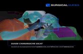 Guide chirurgiche SICAT · 2019. 8. 20. · Pagina 18 Guide chirurgiche SICAT 1. Realizzare un modello in gesso super duro (tipo 4) e su di esso una ceratura diagnostica. L'al-tezza
