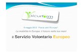 il Servizio Volontario Europeo - Unimololdweb.unimol.it/unimolise/allegati/54078/sicurform1.pdf · Il Servizio Volontario Europeo ha al suo interno almeno tre aspetti principali: