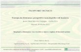 INCONTRO TECNICO Energia da biomasse: prospettive ...Fonte: GSE – Rapporto Statistico 2011 ... Attuazione della direttiva 2009/28/CE sulla promozione dell’uso dell’energia da