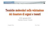 19 -21 gennaio 2011 Cantine Ferrari -Trento - NEWMICRO-Microbiologia e Virologia del ... · 2012. 4. 27. · attraverso il reperimento di tessuti per il trapianto ... trasfusioni