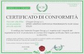 CERTIFICATO DI CONFORMITÀ - Chogan Group · 2018. 4. 26. · SOL69 scadenza: questo certificato è valido fino a quando le condizioni stabilite sono soddisfatte. Il certificato decade