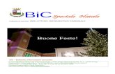 Presentazione standard di PowerPoint · BIC – Bollettino Informazione Comunale A cura dell’Ufficio Stampa del Comune di Rovigo – Sede: Piazza Vittorio Emanuele, II, 1 – 45100