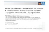Analisi sperimentale e modellazione del processo di ... · Analisi sperimentale e modellazione del processo di estrazione della Rutina da Grano Saraceno (Fagopyrum tataricum) con