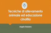 Tecniche di allevamento animale ed educazione cinofila · piano di studio terzo anno dietetica (6 cfu) tecniche assistenziali veterinarie (9 cfu) educazione cinofila, bioetica e antrozoologia