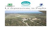La depurazione in Puglia - WordPress.com … · Servizio Tutela delle acque della Regione Puglia (dati a giugno 2009) La depurazione di AQP in cifre, documento a cura de lla Direzione