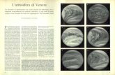 L'atmosfera di Venere - Katawebdownload.kataweb.it/mediaweb/pdf/espresso/scienze/1981... · 2011. 9. 16. · l'atmosfera di Venere sta oggi mutando. Non si tratta più di scoprire