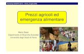 Prezzi agricoli ed emergenza alimentare...2008/07/08  · Workshop GRUPPO 2013 – Roma, 8 luglio 2008 Contributo ad accrescere la pressione inflazionistica 1 elemento di cambiamento