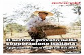 Il settore privato nella cooperazione italiana · 2015”, attraverso il quale ActionAid Italia si propone di analizzare le novità introdotte dalla ri-forma della cooperazione italiana