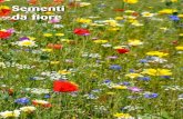 Sementi da fiore - Ingegnoli · 2018. 11. 19. · Varietà che vi stupirà per le grandi ed intense fiori-ture rosa-violetto; attirano farfalle e insetti benefici e sono molto utilizzati