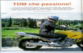 TDM Italia - La comunità italiana degli appassionati di ... · da gestire. Nei tratti di misto la 900 si dimostra ottima: la metti in traiettoria e ti asseconda obbediente come un