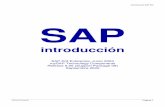 Introducción SAP R/3 SAP · 2020. 9. 24. · Introducción SAP R/3 Rizzardi Rolando Página 6 Desplazamiento del foco a la posición inicial Al abrir por primera vez una pantalla