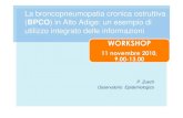 New La broncopneumopatia cronica ostruttiva BPCO ) in Alto Adige: …analizebasilicata.altervista.org/blog/wp-content/uploads/... · 2017. 7. 3. · La broncopneumopatia cronica ostruttiva