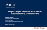 Project Cargo e coperture assicurative: aspetti salienti e ...€¦ · Massimo Spinetta - Project Cargo e coperture assicurative: aspetti salienti e profili di rischio Milano, 17