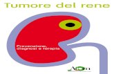 Tumore del rene - AIOMmedia.aiom.it/userfiles/files/doc/iniziative-campagne-eventi-pubblici/... · rappresentano, però, tumori del tutto a parte. a cellule chiare 70-80% cromofobo