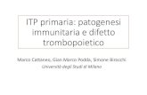 ITP primaria: patogenesi immunitaria e difetto ITP primaria: patogenesi immunitaria e difetto trombopoietico