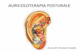 AURICOLOTERAPIA POSTURALE - l'altra metodologia · L’Auricoloterapia è uno strumento di utilità immediata in grado di produrre un resetting posturale, con destrutturazione degli