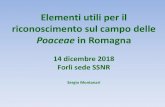 Poaceae in Romagna - FLORA VENA GESSO · Fonte img: UNIPI Su IPFI (ACTA nov2018): ITA 821 taxa (di cui 234 assenti in galleria), ITA 635 specie EMR 353 taxa certamente presenti