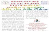 Parrocchie - Comunità Pastorale Madonna delle Lacrime ...comunitapastoraletreviglio.it/wp-content/uploads/... · 15.00: Santo Rosario presso la Grotta a Castel Cerreto 16.00 - 18.00: