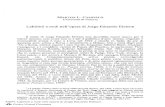 Labirinti e nodi nell 'opera di Jorge Eduardo Eielson · 5 Per il concett o di «labirint multicentrico» v. Paol Santarcangeli, // libro dei labirinti, Frassinella Várese, 1984,