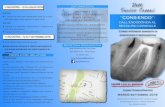 INFORMAZIONI Dott. V INCONTRO – 5/6 LUGLIO 2019 ......L’isolamento del campo operatorio: la diga di gomma; il pretrattamento endodontico; tecniche avanzate di isolamento del campo