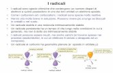 New I radicali - unibo.itnanobionano.unibo.it/ChOrgInquinanti/media/Radicali.pdf · 2012. 6. 5. · Un radicale stabile è una molecola intrinsecamente stabile • Un radicale persistente