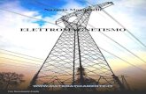 ELETTROMAGNETISMO · 2013. 1. 27. · N. Magnarelli Elettromagnetismo MATEMATICAMENTE.IT Pagina II Ringrazio l’amico Prof. Carlo Sintini per i suoi utili consigli, per i suggerimenti