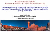 Salute in Horizon 2020: Giornata Nazionale di Lancio dei ... · Collaborazione tra Università e Industria in un progetto europeo "Innovation 2" del Settimo Programma Quadro (FP7):
