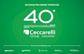 SOLUZIONI PER AZIENDE VITIVINICOLE - Ceccarelli Group del vino 2020(1).pdf · SOLUZIONI NAZIONALI / INTERNAZIONALI Un sistema ˚essibile, progettato per veicolare l’eccellenza del