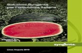 Soluzioni Syngenta per l’orticoltura italiana · Soluzioni Syngenta per l’orticoltura italiana. ... Noi di Syngenta investiamo ogni giorno in ricerca e sviluppo per garantire