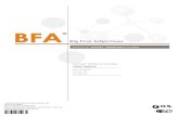 BFA Extended Report · atitudinale si comportamentale ale persoanei evaluate în cele cinci ... nonverbala, omnibus, a unor coordonate de personalitate, care a fost construita pentru